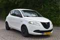 Lancia Ypsilon 0.9 TwinAir Elefantino Plus, ORGINEEL NEDERLANDSE Weiß - thumbnail 6