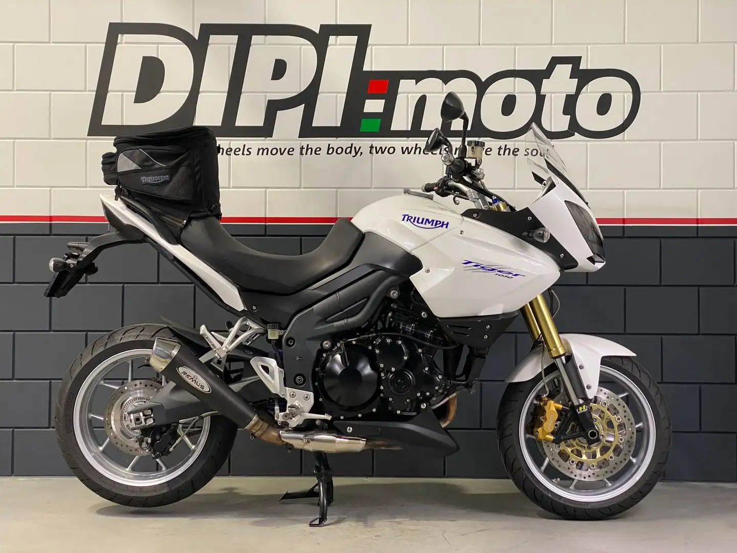 Triumph Tiger 1050 ABS Blanc - 2