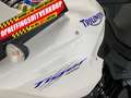 Triumph Tiger 1050 ABS Wit - thumbnail 14