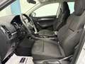 Skoda Karoq 2,0 TDI SCR 4x4 Ambition Limited DSG AHK Grau - thumbnail 16