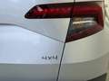 Skoda Karoq 2,0 TDI SCR 4x4 Ambition Limited DSG AHK Grau - thumbnail 9