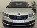 Skoda Karoq 2,0 TDI SCR 4x4 Ambition Limited DSG AHK Grau - thumbnail 4
