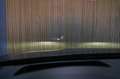 Porsche Cayenne 3.0 E-Hybrid Platinum Edition Blauw - thumbnail 10