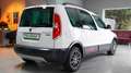 Skoda Roomster Scout PlusEdition Pdc,Klima,Shz,Ahk,8-F Blanc - thumbnail 3