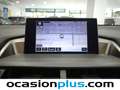 Lexus NX 300 300h Corporate 2WD + Navibox Gris - thumbnail 7