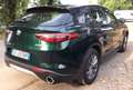 Alfa Romeo Stelvio Stelvio 2.2 t Q4 190cv auto PROMO RF WINTER SALES Verde - thumbnail 3