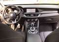 Alfa Romeo Stelvio Stelvio 2.2 t Q4 190cv auto PROMO RF WINTER SALES Verde - thumbnail 6