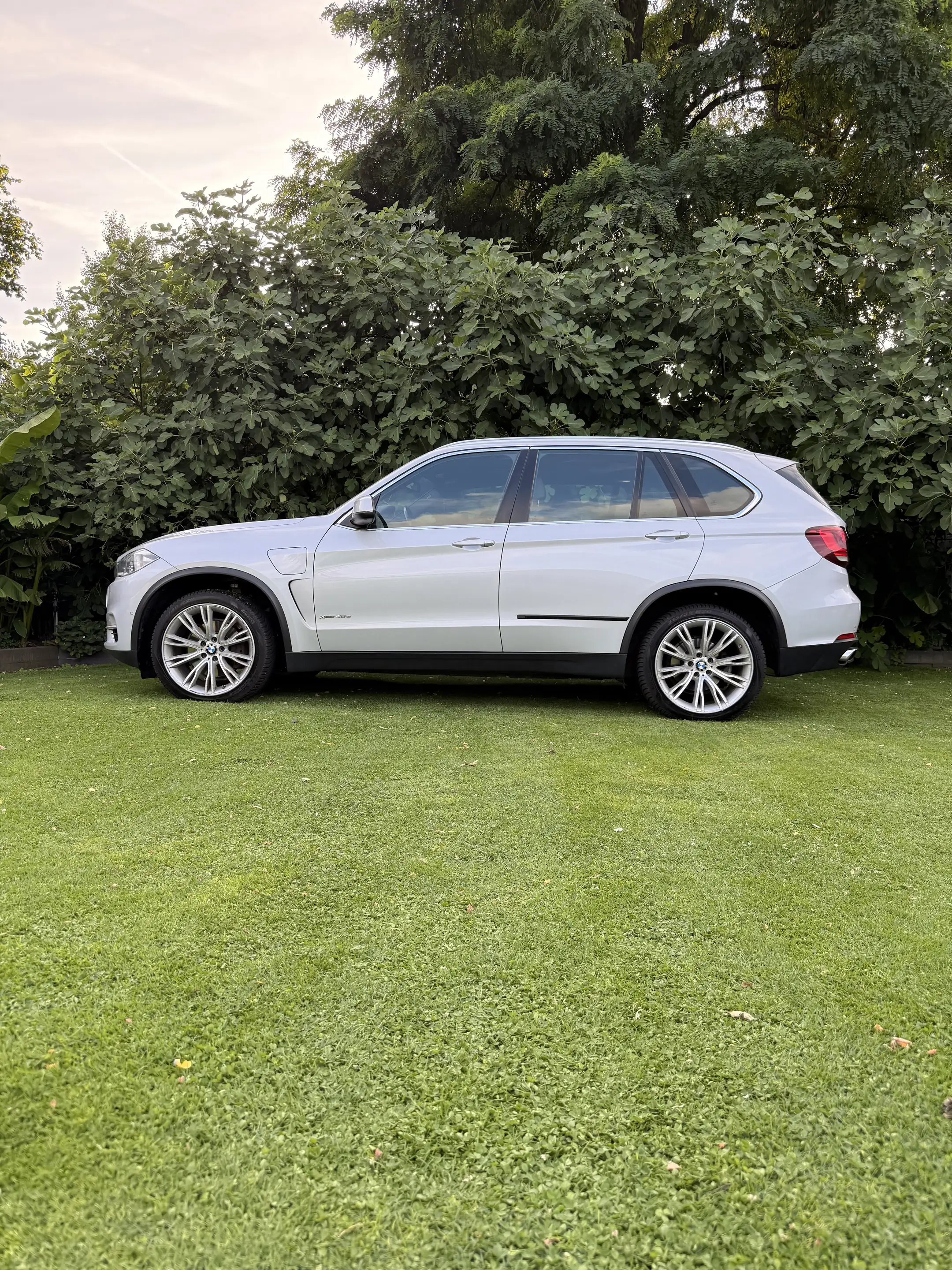 BMW X5 iP.High.Ex — photo 4