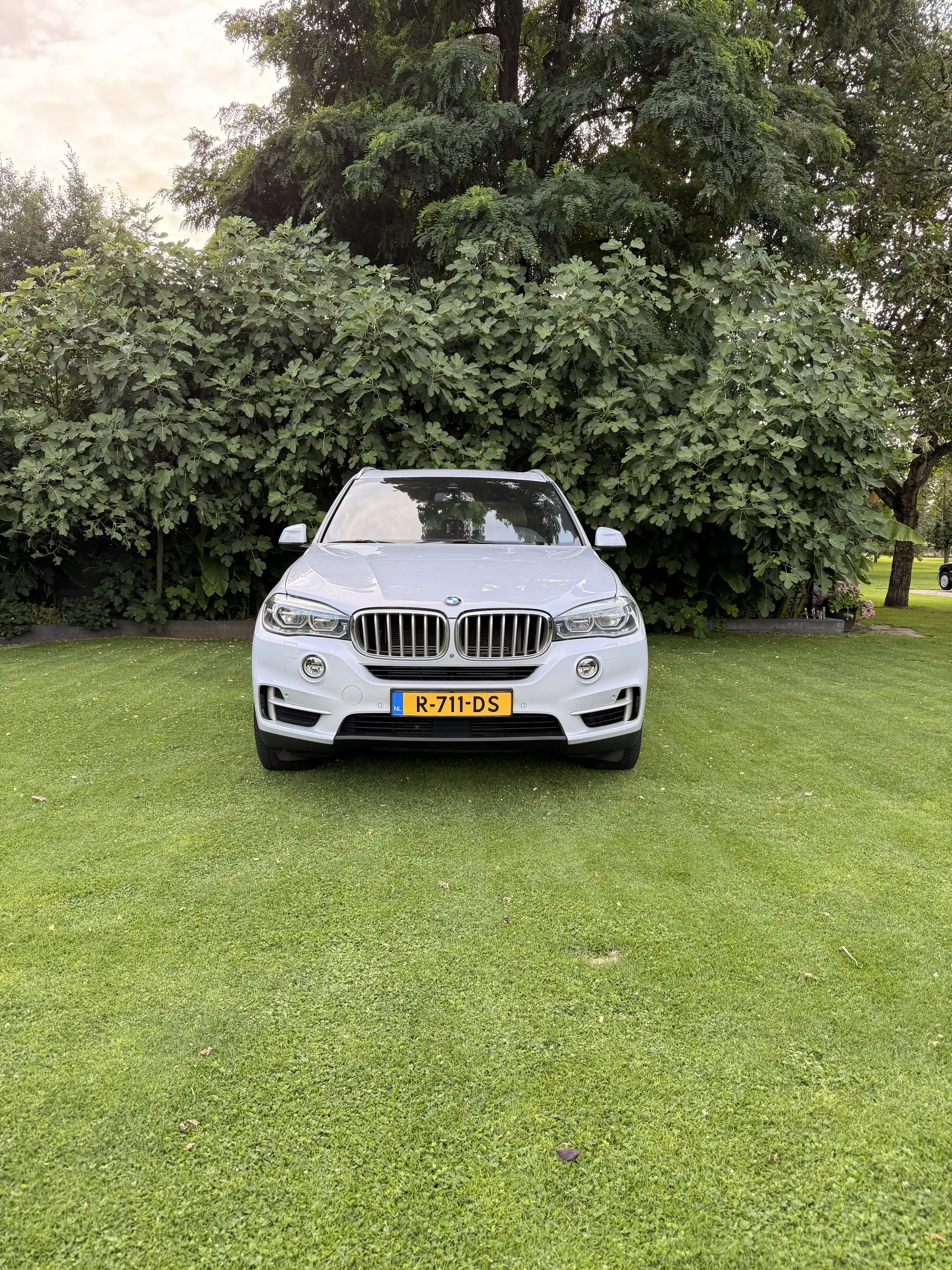 BMW X5 iP.High.Ex — photo 2