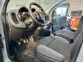 Fiat Panda 1.2 Easy 2019 Grigio - thumbnail 9
