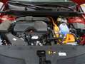 Kia Sportage 1.6 T-GDi PHEV 198kW (265CV) Drive 4x4 Rojo - thumbnail 12