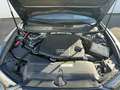 Audi A6 A6 Avant 50 3.0 tdi mhev Business Plus quattro tip Nero - thumbnail 10