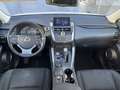 Lexus NX 300 NX Hybrid 4WD Executive White - thumbnail 14