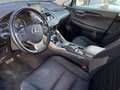 Lexus NX 300 NX Hybrid 4WD Executive White - thumbnail 6