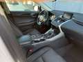 Lexus NX 300 NX Hybrid 4WD Executive White - thumbnail 8