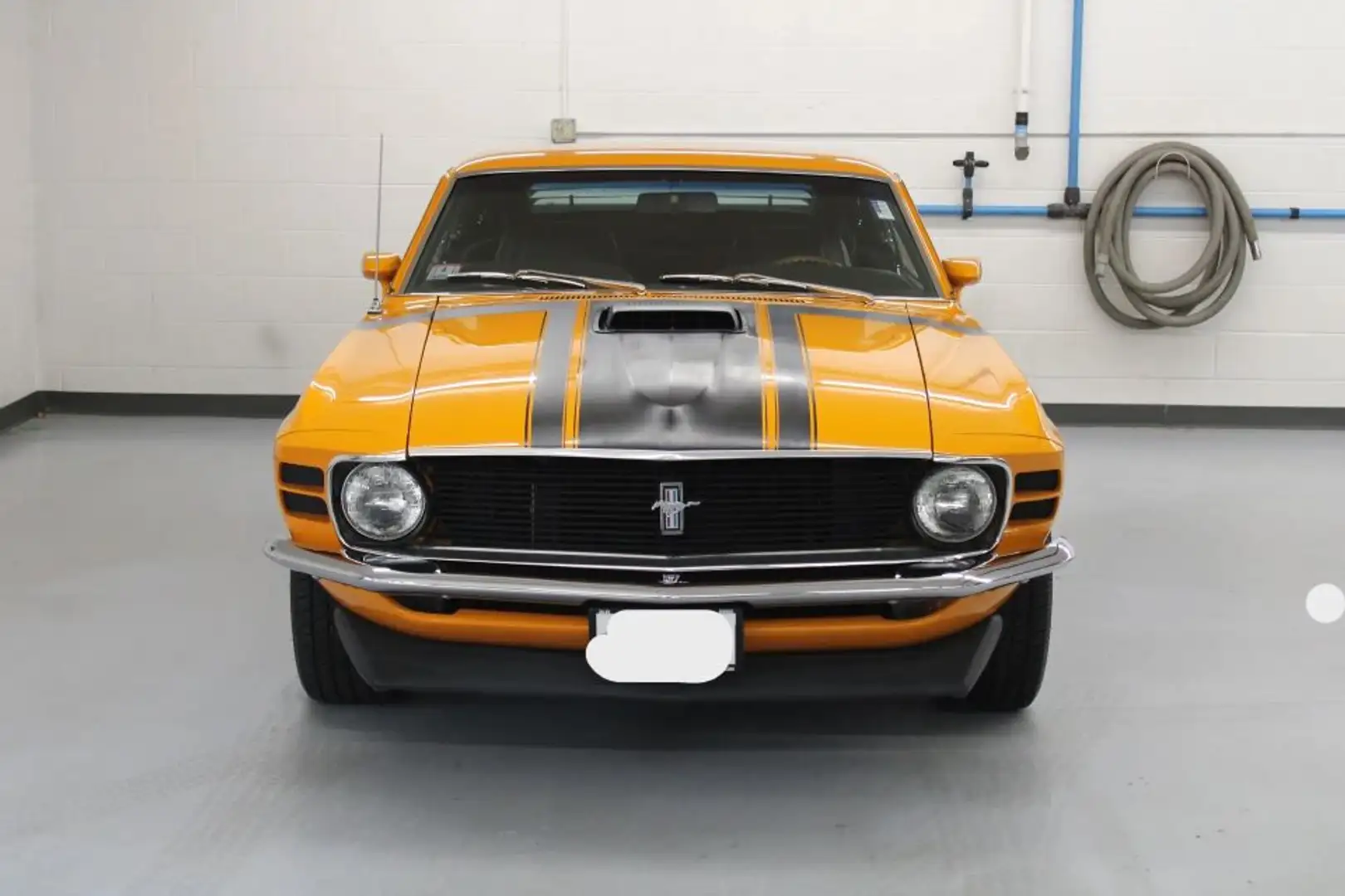 Ford Mustang Boss 302 - 2