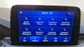 Ford Kuga 2.5 190 hybrid Flexifuel Pshift ST-Line - thumbnail 12