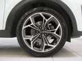 Kia Sportage 1.6 CRDI 136 CV DCT7 2WD Mild Hybrid GT Line Bianco - thumbnail 18