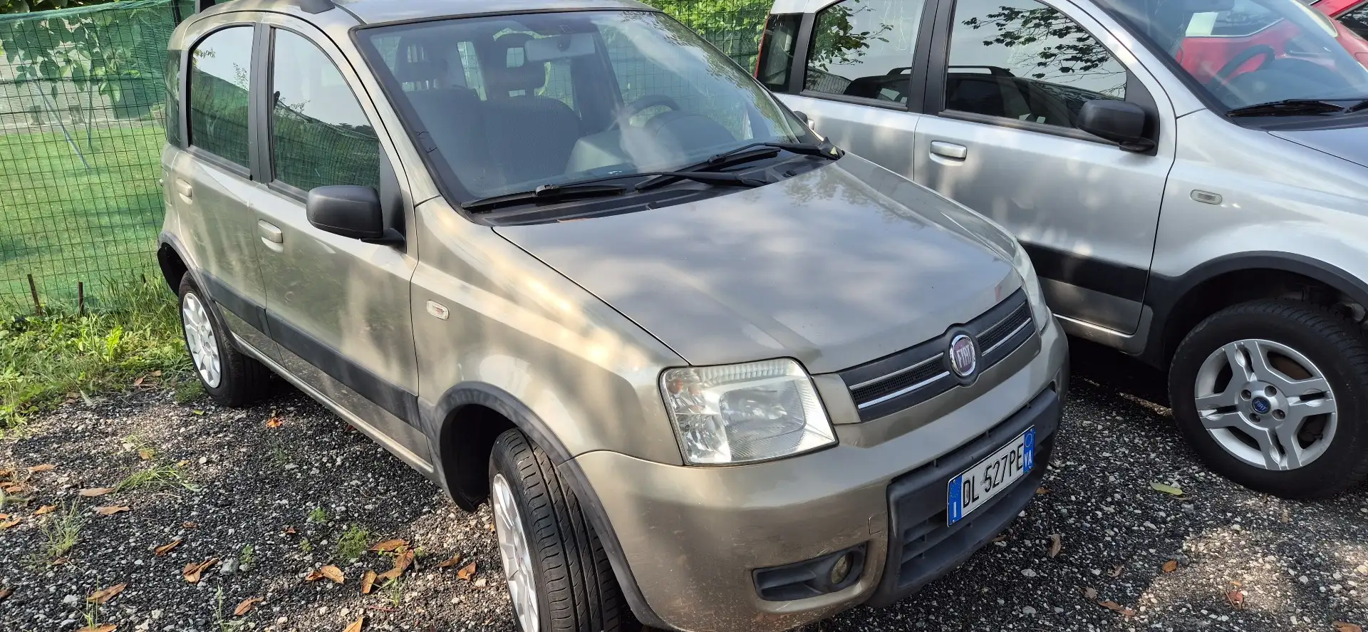 Fiat Panda 1.2 4x4 - 1