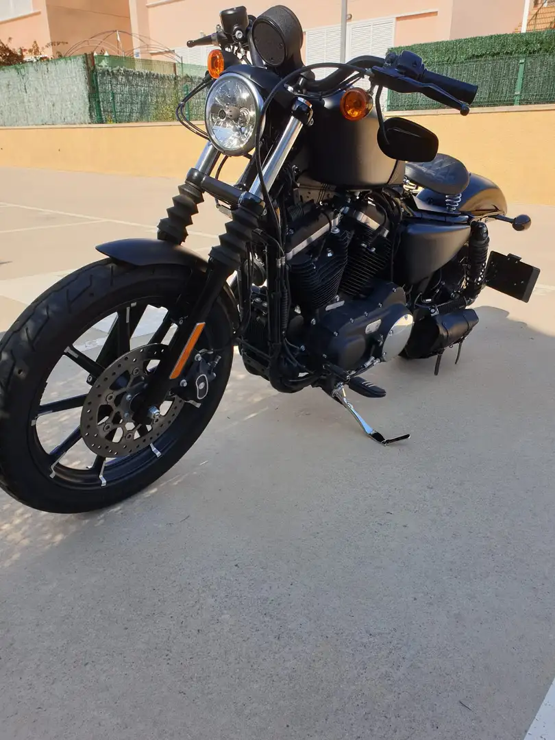 Harley-Davidson Sportster 883 Deutsche und spanische zulassung - 2