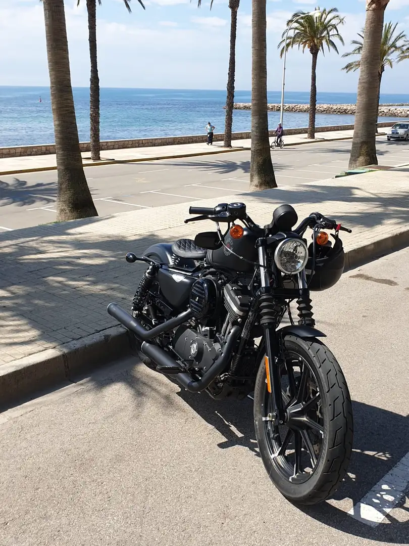 Harley-Davidson Sportster 883 Deutsche und spanische zulassung - 1