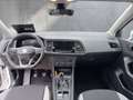 SEAT Ateca Reference Edition 1.0 TSI Weiß - thumbnail 12