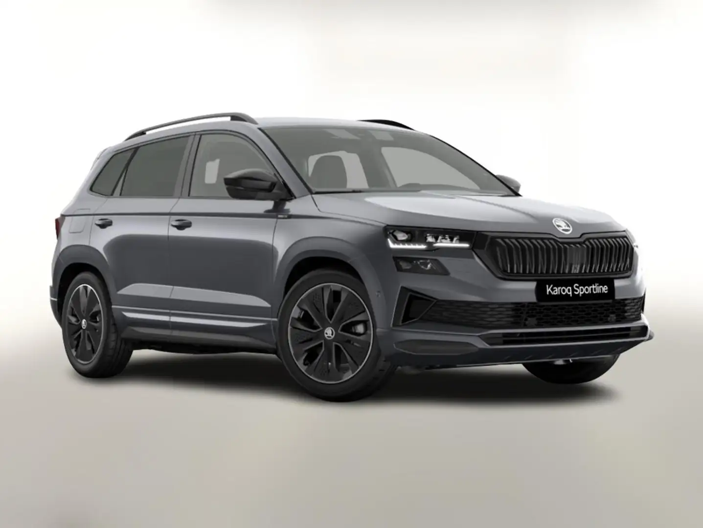 Skoda Karoq Sportline DSG Sportl Matrix Nav 360 Canton ACC ... Grau - 1