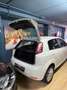 Fiat Punto 1.3MTJ 85CV CATENA NUOVA GIA' FATTA! Blanc - thumbnail 6