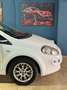 Fiat Punto 1.3MTJ 85CV CATENA NUOVA GIA' FATTA! Blanc - thumbnail 4