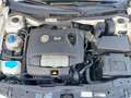 Volkswagen Golf 2.0 Bi Fuel Variant CNG Benzin Gas Klima - thumbnail 17