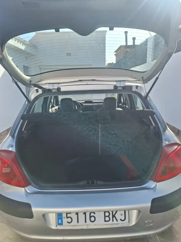 Peugeot 307 1.6i XS, foto 8