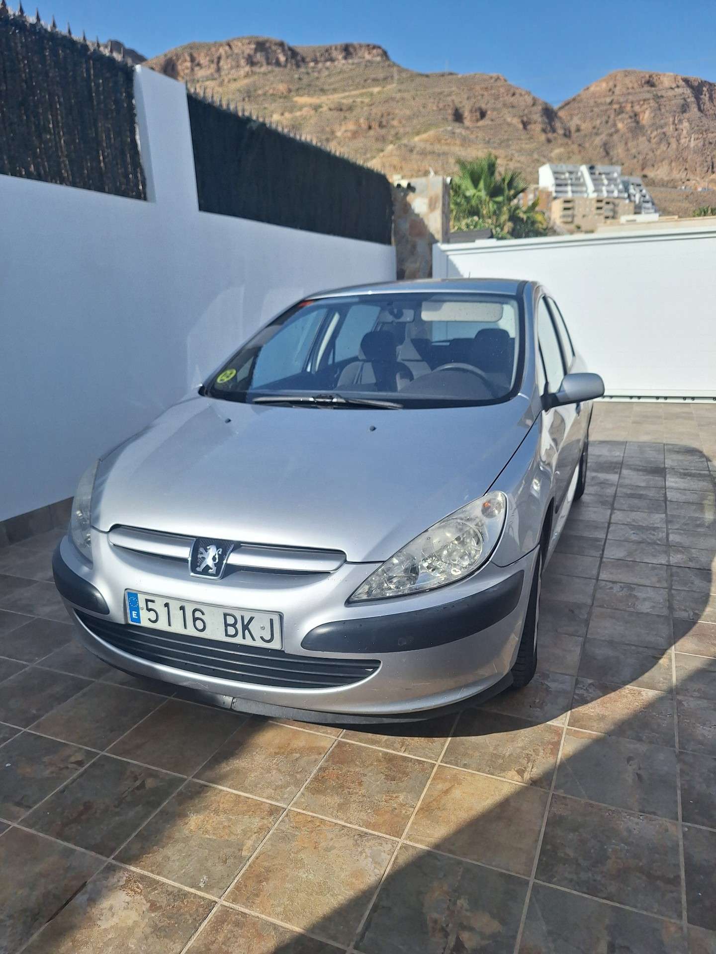 Peugeot 307 1.6i XS - foto 1