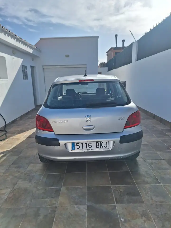 Peugeot 307 1.6i XS, foto 3