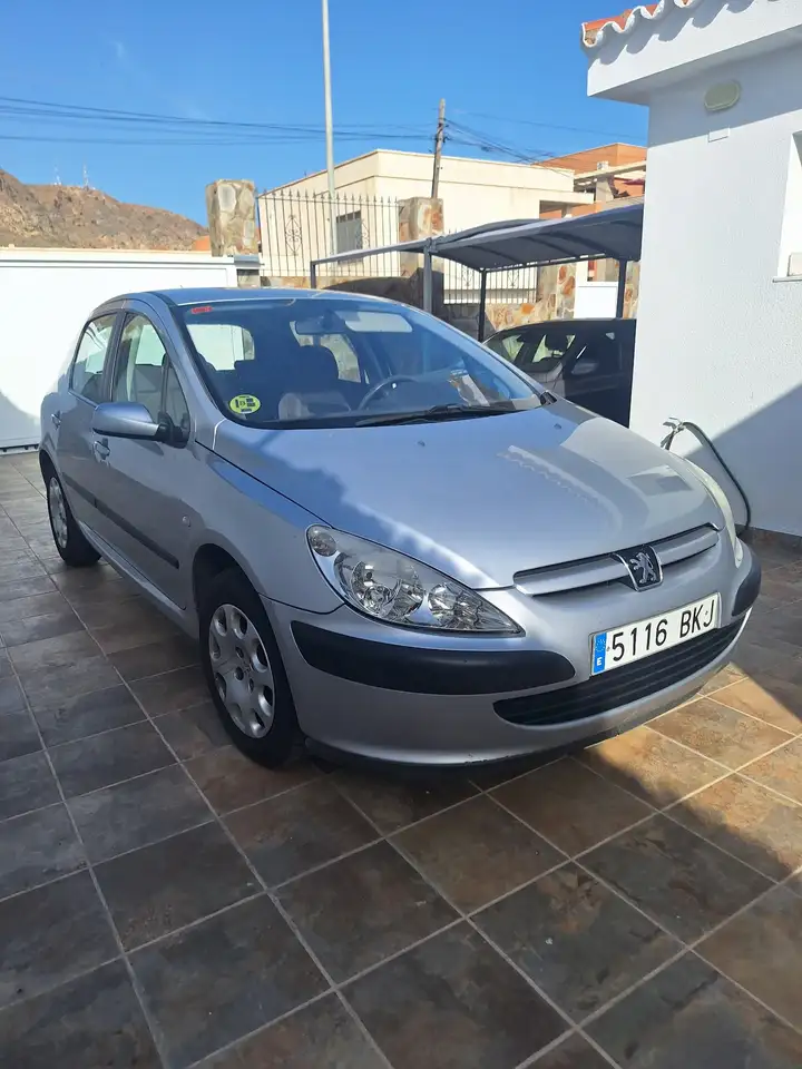 Peugeot 307 1.6i XS, foto 2