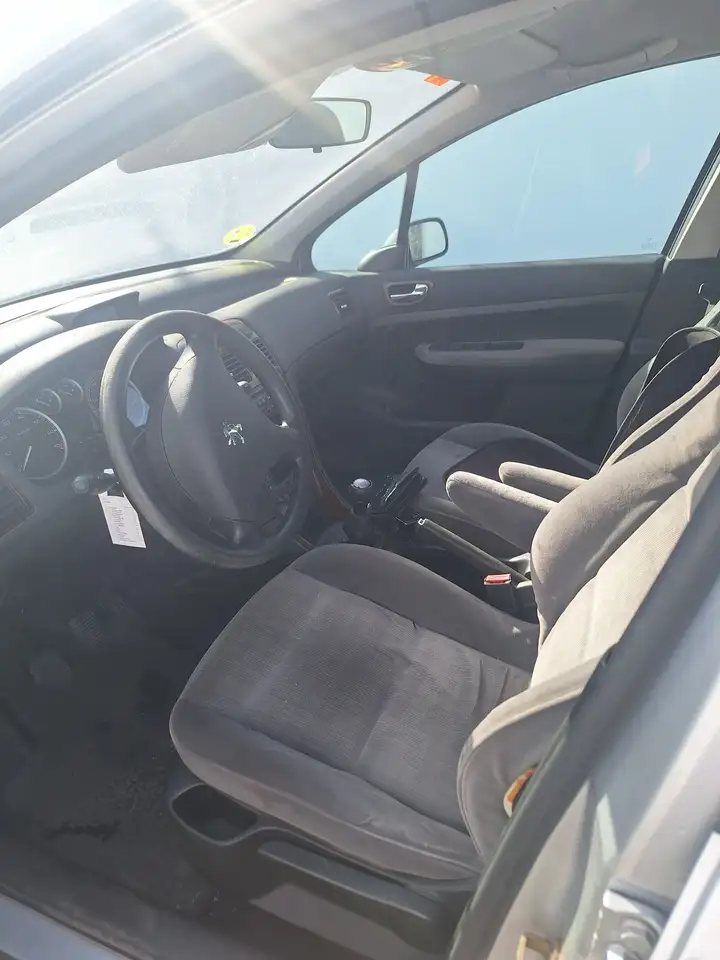 Peugeot 307 1.6i XS, foto 4