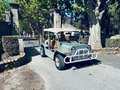 MINI Moke Bee Beach Vert - thumbnail 1