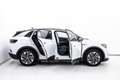Volkswagen ID.4 ID. 4 Pure / 52kWh | ACC | Matrix Weiß - thumbnail 8