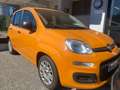 Fiat Panda 1.0 firefly hybrid 70Cv 5POSTI - Prezzo REALE! Arancione - thumbnail 4