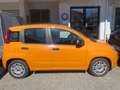 Fiat Panda 1.0 firefly hybrid 70Cv 5POSTI - Prezzo REALE! Arancione - thumbnail 2