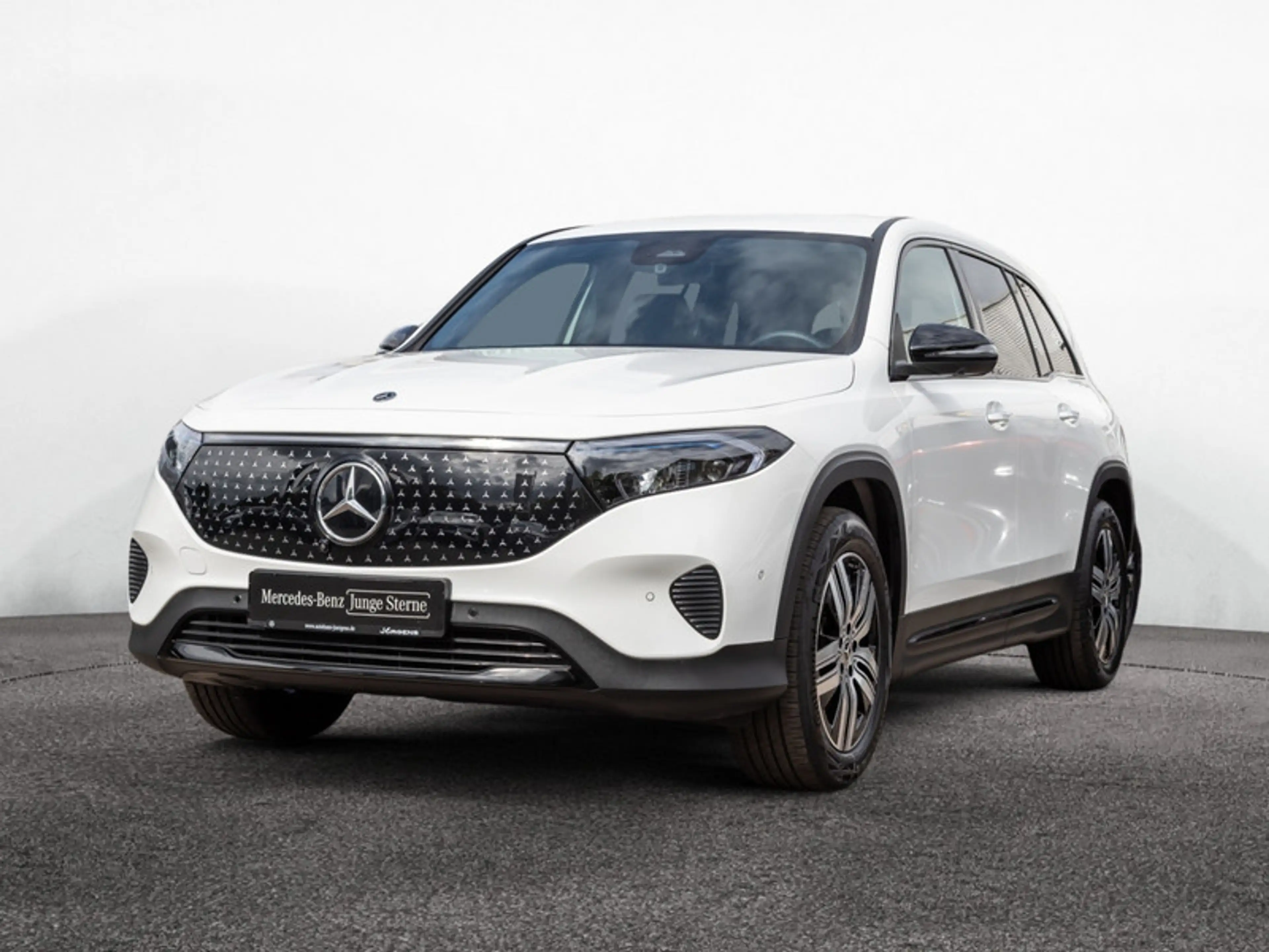 Mercedes-Benz EQB 250 + ElectricArt/LED/360/Night/Totw/Keyl/18" — photo 2