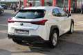 Lexus UX 250h UX 250 H Hybrid Business Blanc - thumbnail 4