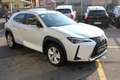 Lexus UX 250h UX 250 H Hybrid Business Blanc - thumbnail 3