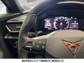 CUPRA Formentor 1.5 TSI DSG KLIMAAUT SHZ PDC FSE LED Grau - thumbnail 18