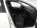 Skoda Octavia Combi 1.6TDI CR Ambition Blanco - thumbnail 5