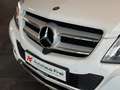 Mercedes-Benz GLK 220 4Matic 360°Kamera*Comand*AHK*Scheckheft Weiß - thumbnail 13