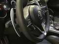 Alfa Romeo Stelvio 2.2 D TURBO 154KW EXECUTIVE AUTO 4WD 5P Wit - thumbnail 23