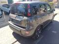 Fiat Panda Panda 1.0 firefly hybrid City SPORT Grigio - thumbnail 8