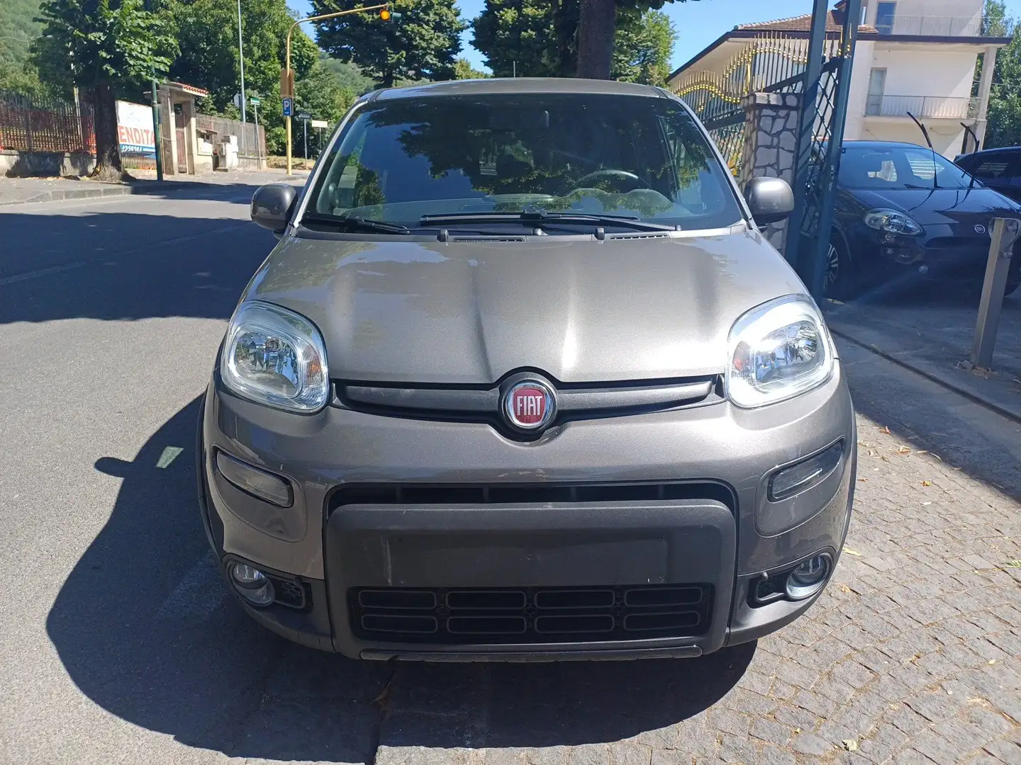 Fiat Panda Panda 1.0 firefly hybrid City SPORT Grigio - 2