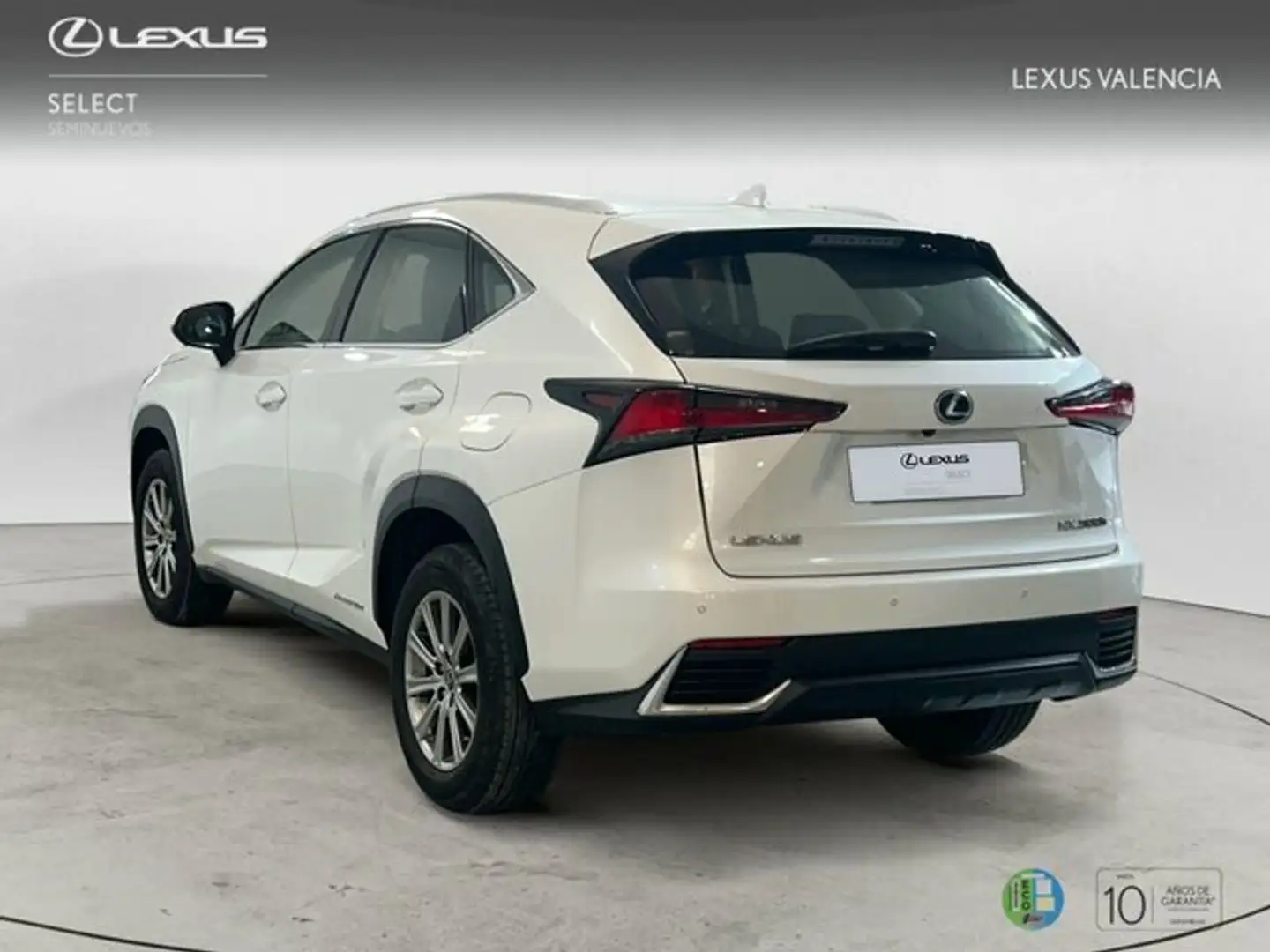 Lexus NX 200t SUV BUSINESS 2.5 Híbrido Gasolina (197CV) Transmi Blanco - 2