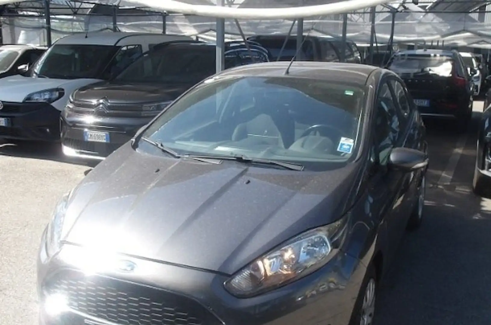 Ford Fiesta Plus 1.5 TDCi 75CV 5 porte AUTOVETTURA Grigio - 1